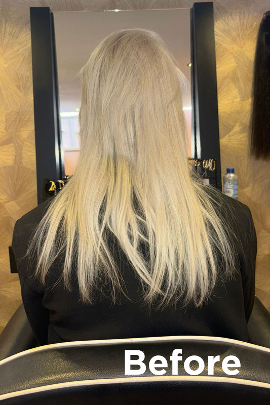 Hairextentions-5-before